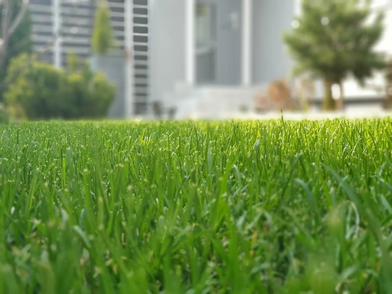 Agrey Frame Residence Villas Bucarest Rumanía